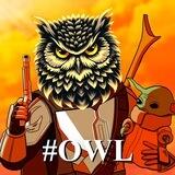 Owl Portal