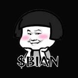Bian Coin