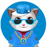 KITTENCITY CHAT