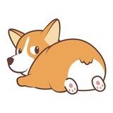 CORGI BSC | 0/0 TAX |COMMUNITY