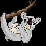 SHOLANA THE KOALA $SHOL OFFICIAL