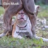 DUSTIN