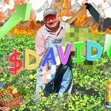 $DAVID ENTRY PORTAL