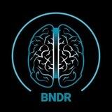 BNDR AI - Portal