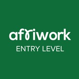 Afriwork Entry-Level (Graduate)