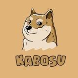 Kabosu - the orginal DOGE