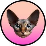 Cristiano's Cat | Pepe