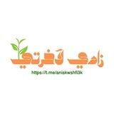 زادي لآخرتي | 🌧🌱.