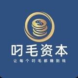 叼毛资本集团诚信项目供需（订阅）