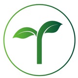 Ents Global 🌱🌱