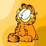 Garfield on Solana — CTO