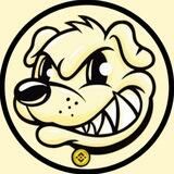 Max Coin 5/5 TAX |MAX AUTOBURN|1YEAR LOCK|RENOUNCE|
