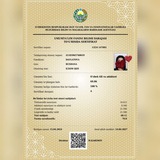 Rushana Davlatova MCeFr A+🤲