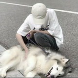 3A号源丨三角洲萤火交流群