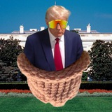hatwiftrump | $wiftrump