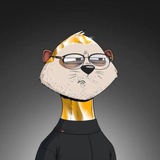 Sergei Belan | Web3+EdTech