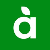 Asil