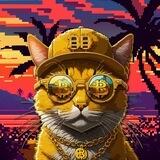 OP_CAT | Satoshi's Cat