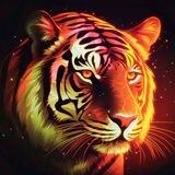 BNBTiger 万倍社区