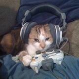 Gamer Cat $GEEK (Portal)