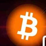 BTCS比特铭文官方群