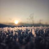 چــیــاڤـان