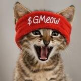 GMEow