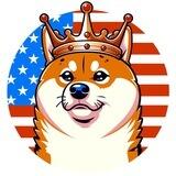 VoteDoge Chat