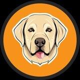 Bunyip (Gavin Andresen's Dog)