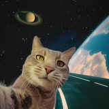 FREE UNSUBS, NFS 🐱🪐