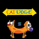 $CatDoge SOL Portal