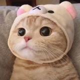 小海团队