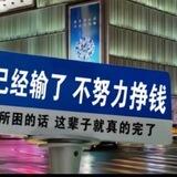 猫招财项目群