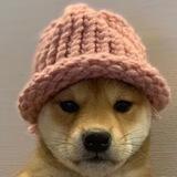 dogwifhat