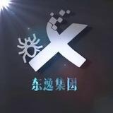 东逸集团项目介绍