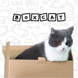 BOXcat