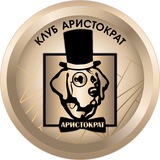 ВЫСТАВКИ ПКОО КИФК "АРИСТОКРАТ" & ПКОО КИФК "КЛУБ ИМ. А. МИНИНКОВА"🏆 г.Арсеньев