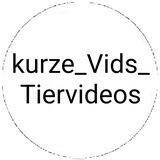 kurze_Vids_Tiervideos