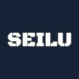 Seilu Bridge Portal