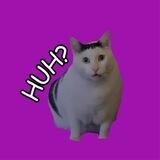 Huh Cat PORTAL