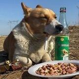 闷酒手机口每日账单