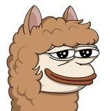 Paca.Central
