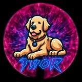 THOR | LP BURNT | PORTAL