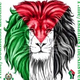 Free Palestine🇵🇸