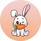 RABBIT INU CHINESE 🇨🇳