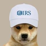 Tax Wif Portal