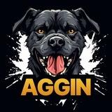 AgginSol