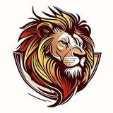 باشگاه بوکس المپیک ارومیه 🥊