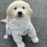 凉心の小窝
