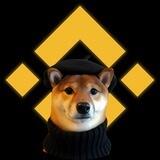 shibawifinu BSC